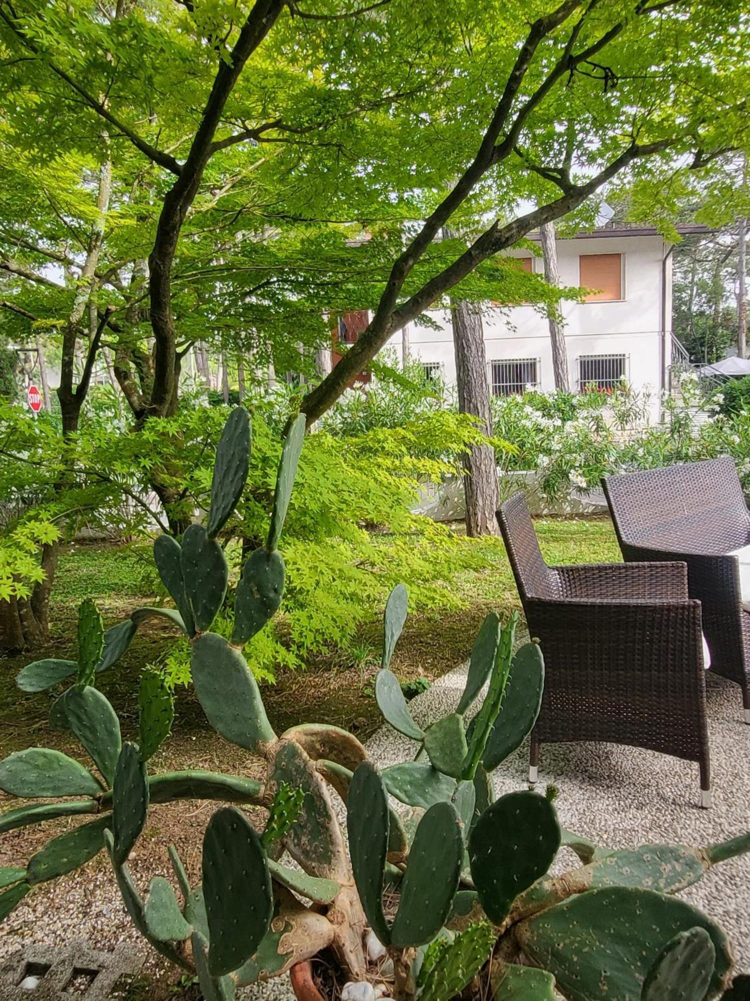 Hotel Olympia Lignano Sabbiadoro Dış mekan fotoğraf